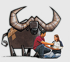 Illustration Verband anlegen, im Hintergrund eine Büffel