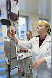 Mitarbeiterin des Blutspendedienstes schaut sich eine Blutkonserve an
